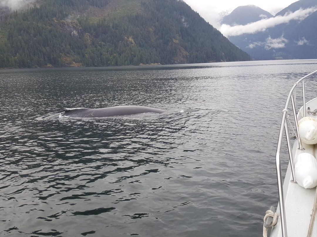 I'Hos Cultural Tours-Lund必去景点