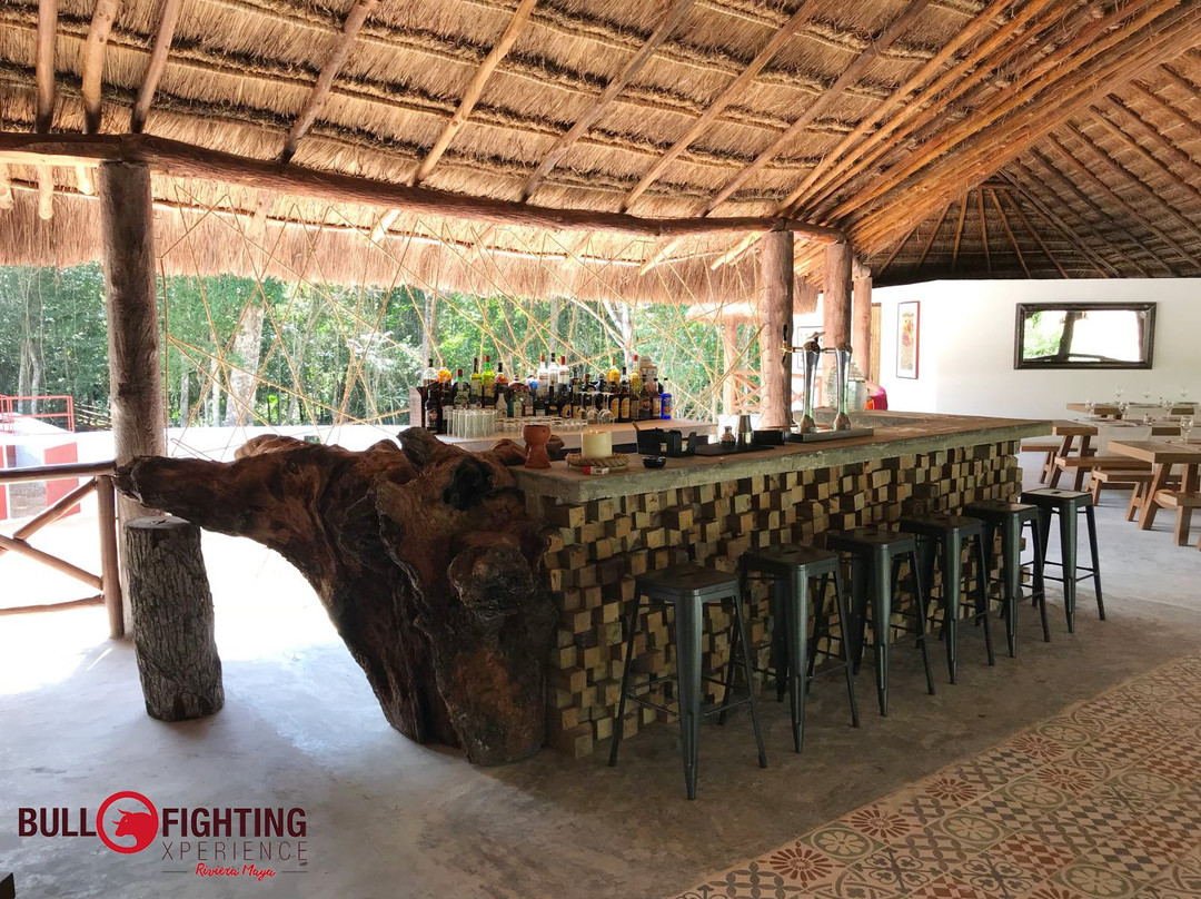 Bullfighting Xperience Riviera Maya-从莫雷洛斯港必去景点