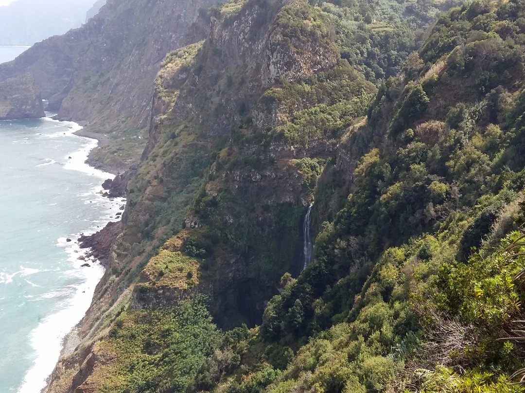 Tropical Treasures景点图片
