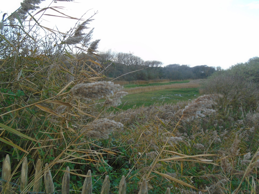 De Fonteintjes-布鲁日必去景点