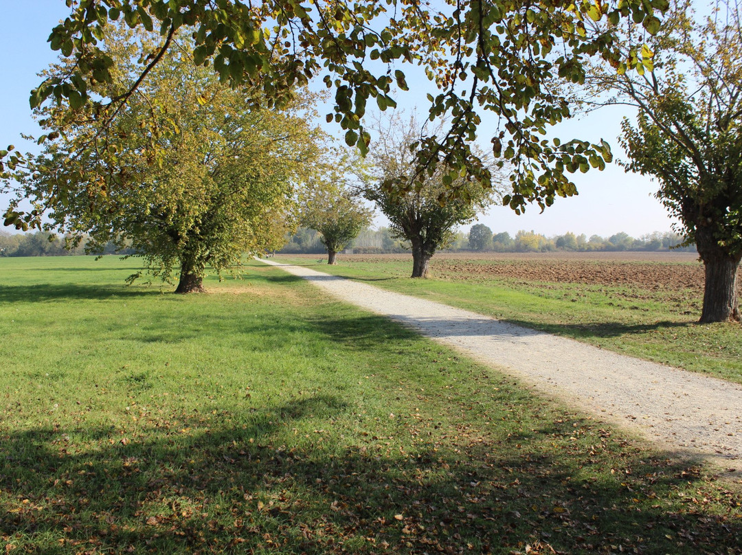 Parco della Reggia Ducale di Rivalta景点图片