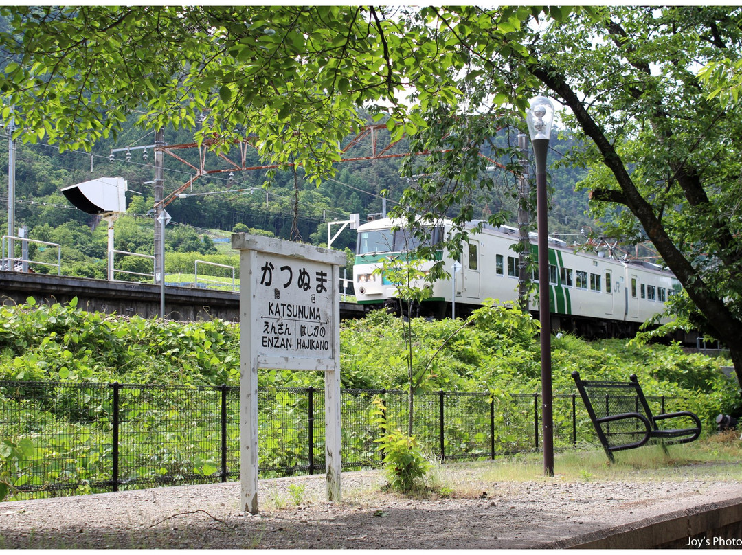 Jinrokuzakura Park景点图片