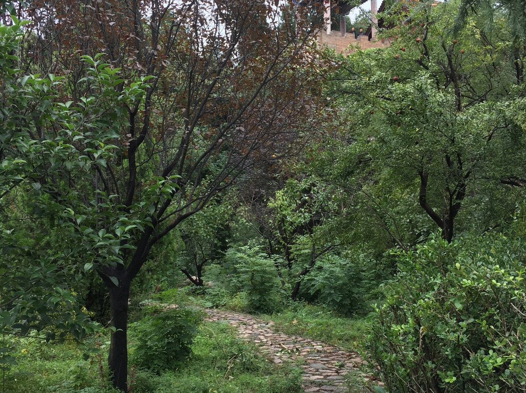 万固寺-永济市必去景点