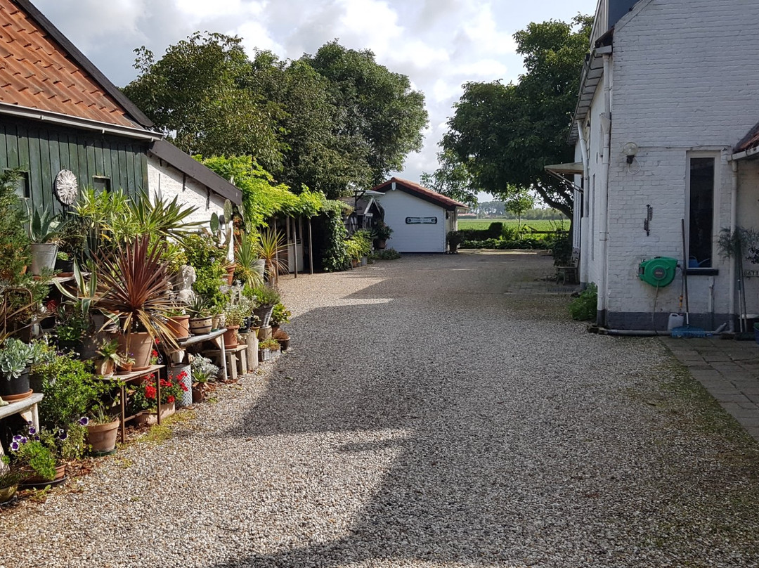 Vakantieoord "de Peppelhoeve"