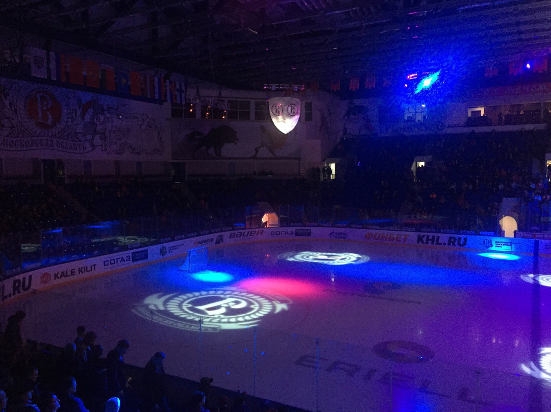 Ice Palace Vityaz景点图片