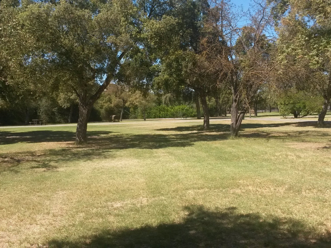 Parque del Alamillo景点图片