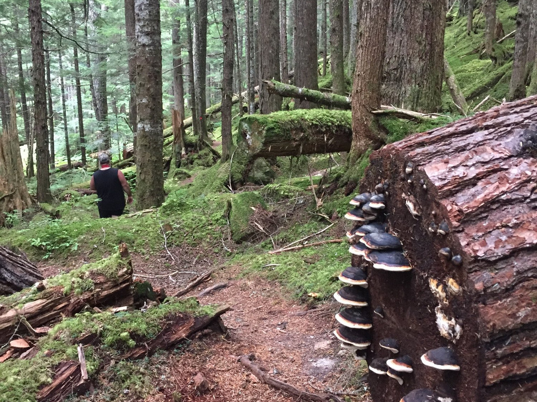Odegaard Falls-Hagensborg必去景点