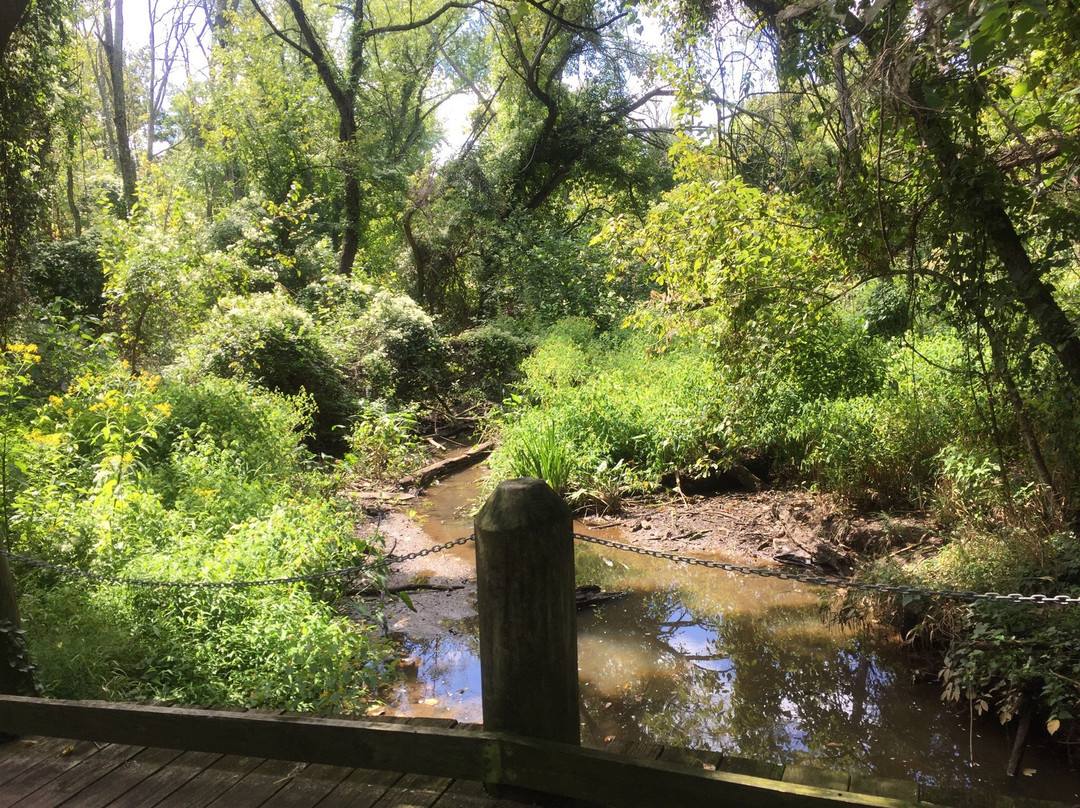 Jones Point Park-亚历山德里亚必去景点