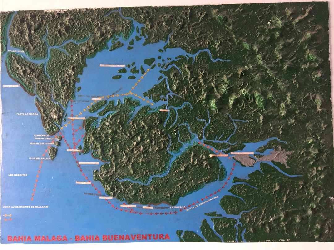 Hotel Bahia Del Sol Ladrilleros主图