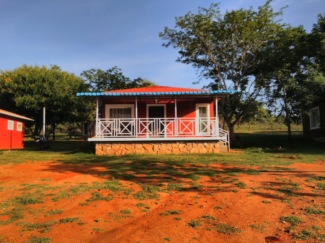 Jungle Mount Resorts主图