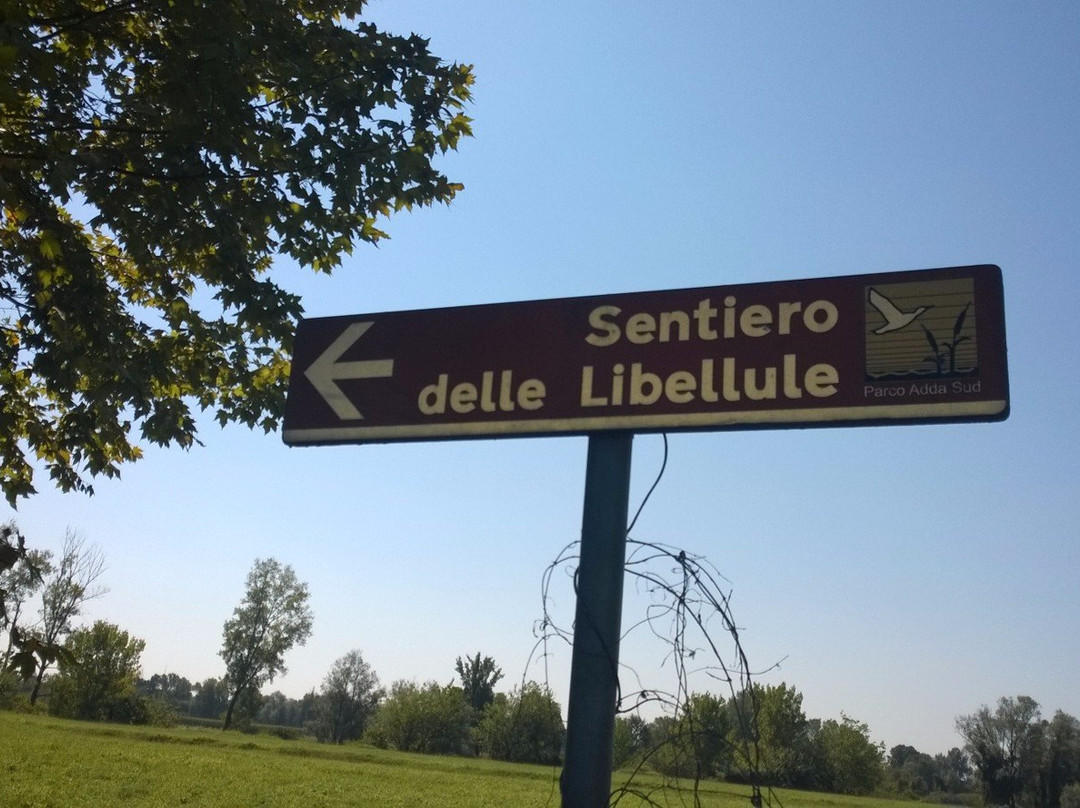 Parco Regionale dell'Adda Sud-洛迪必去景点