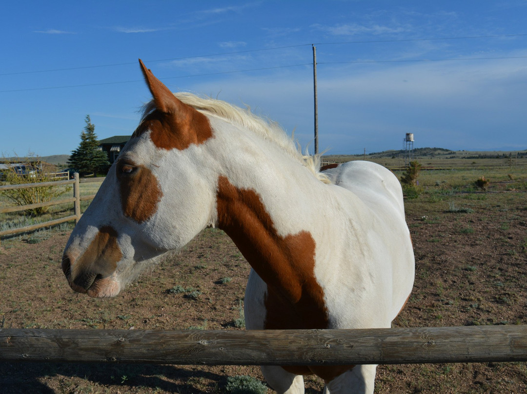 Buford Trading Post-Buford必去景点
