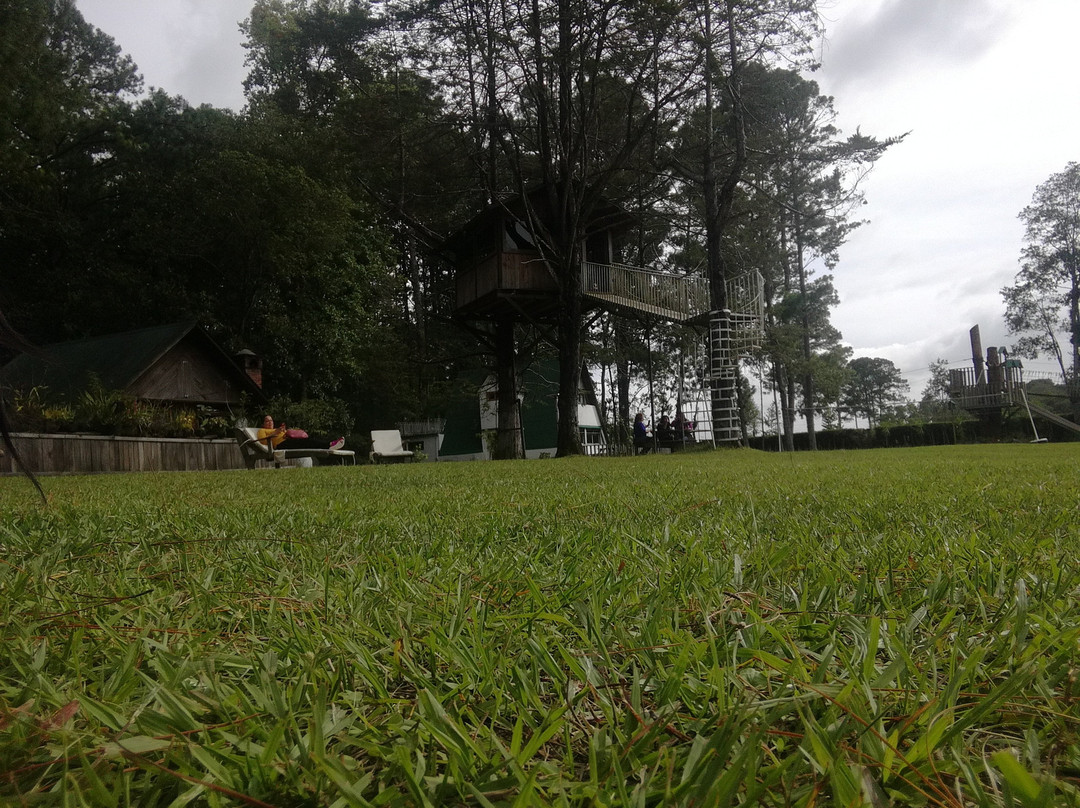 Tapijulapa餐馆和美食-Siempre Verde