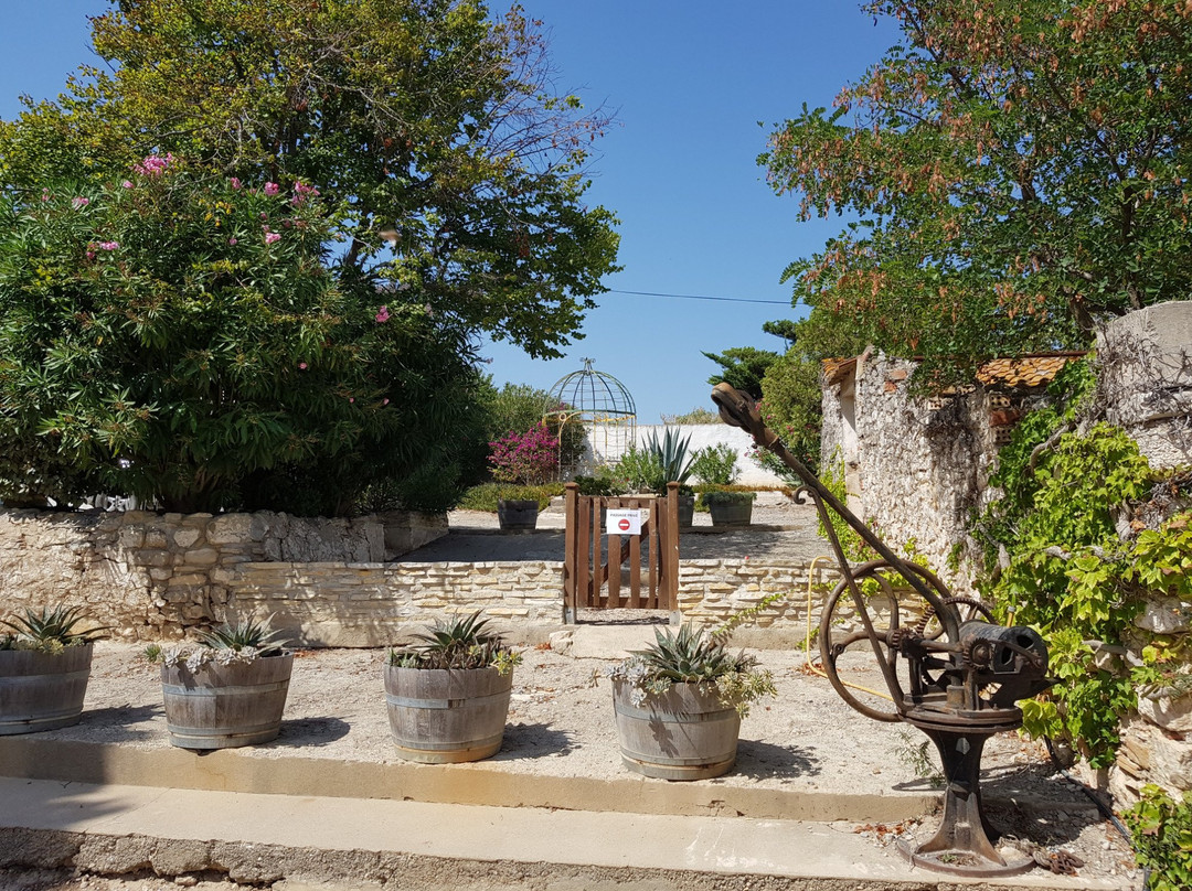 Gruissan旅游景点-Domaine Bel Eveque