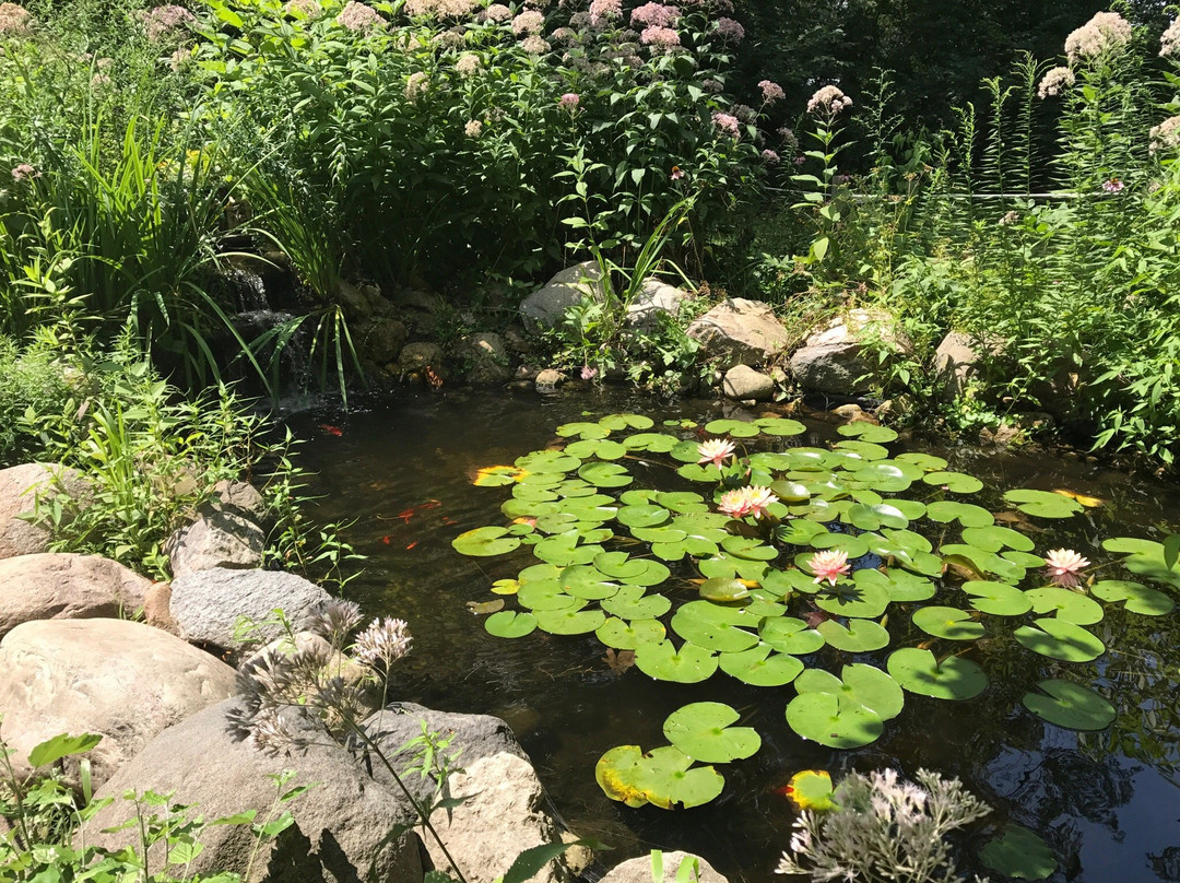 Willowbrook Wildlife Center-Glen Ellyn必去景点