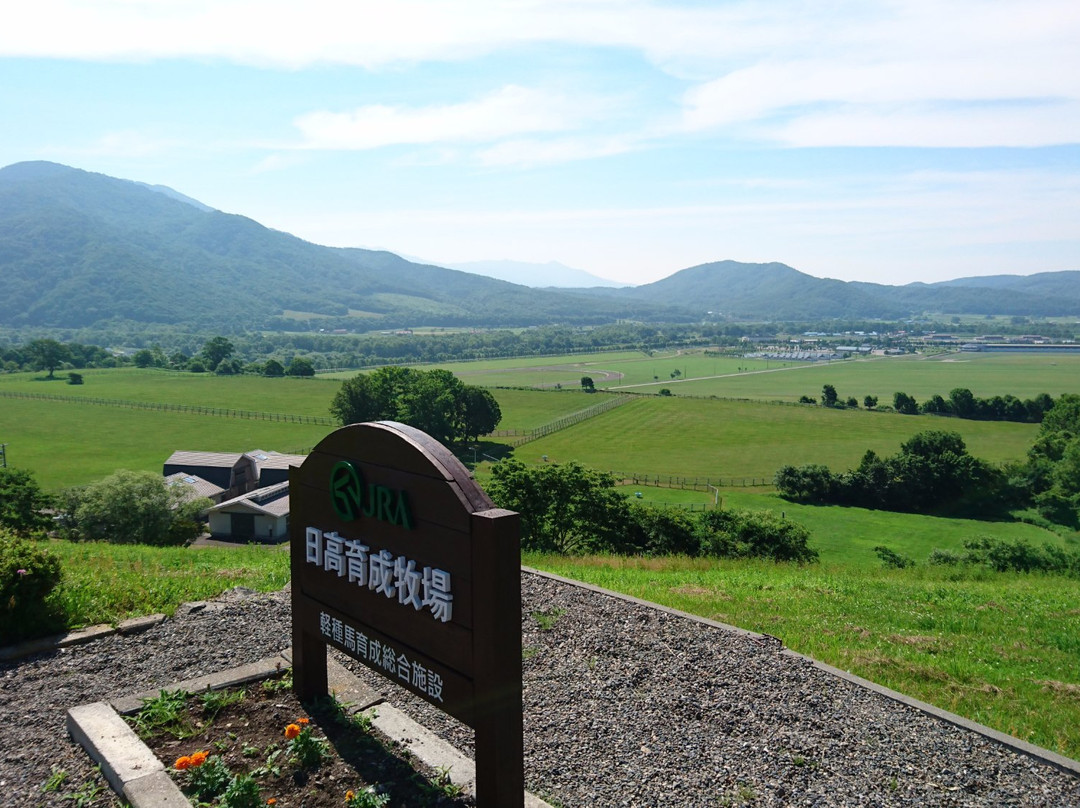 JRA Hidaka Ikusei Ranch-浦河町必去景点
