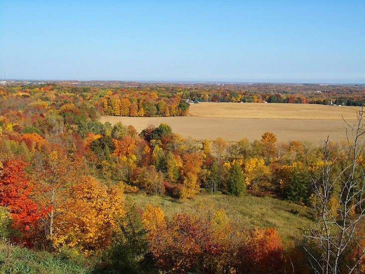 Hartford旅游攻略图片