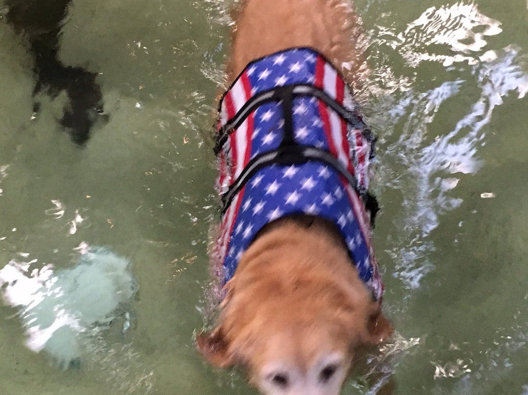 The Inn at Restful Paws主图