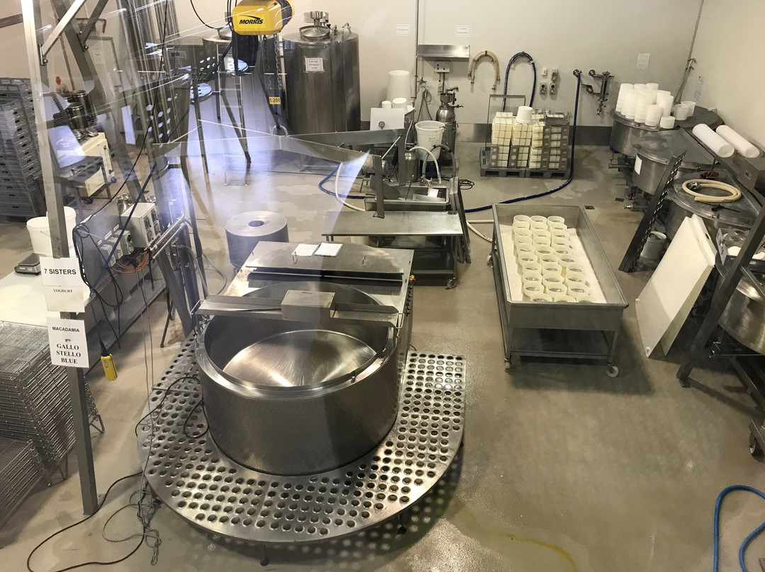 Freshwater旅游景点-Gallo DairyLand