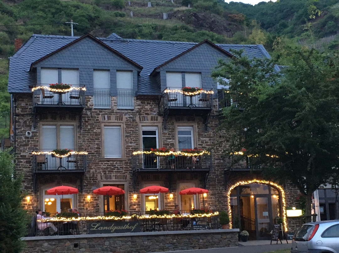 Landgasthof Winzerscheune主图