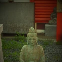 Shinjo-ji Temple-牛久市必去景点