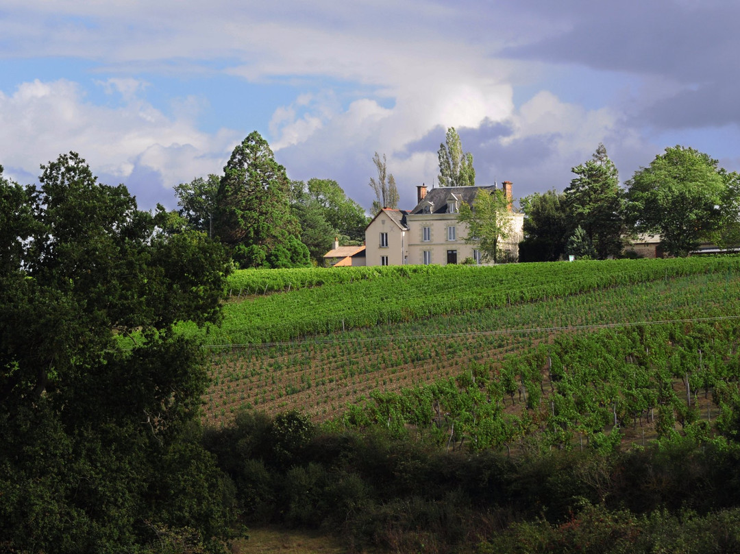 Château de la Viaudiere景点图片