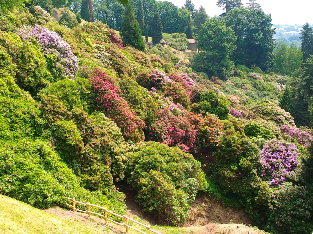 Parco della Burcina景点图片