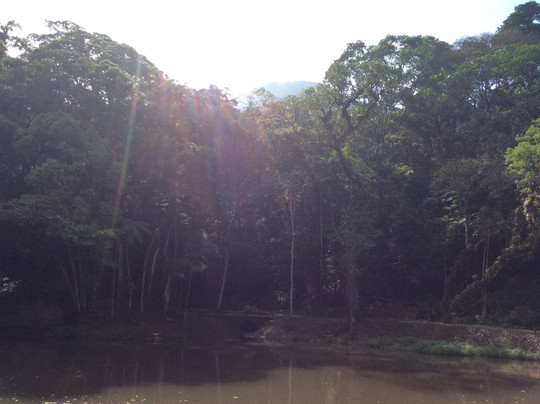 Paróquia de Tijucas