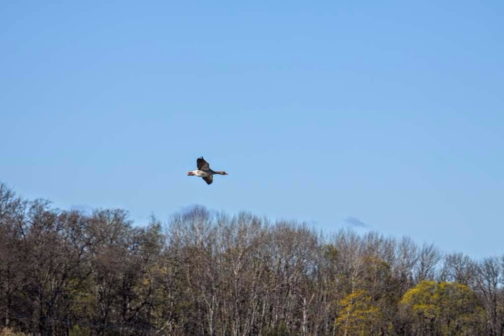 Hjälstaviken Naturreservat-Enkoping必去景点