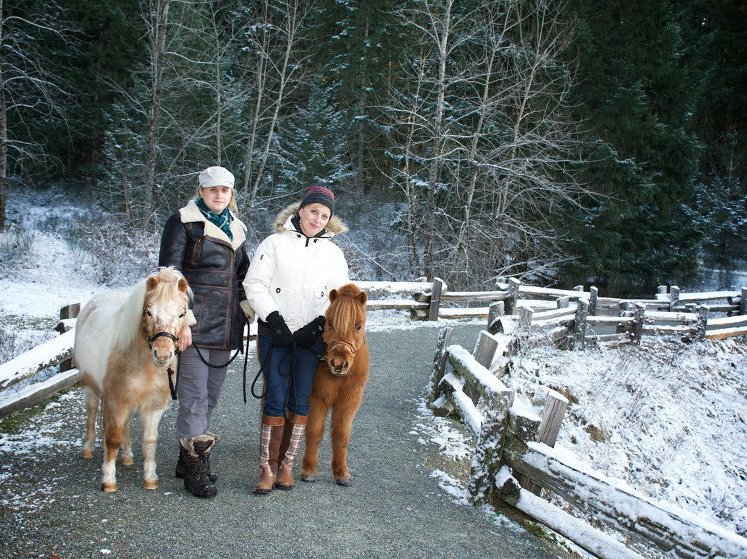 Glenora Trails Head Park景点图片