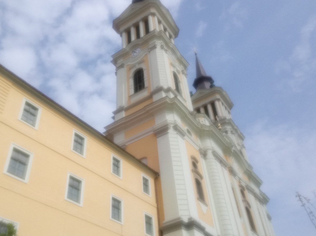 Basilica Maria Radna景点图片