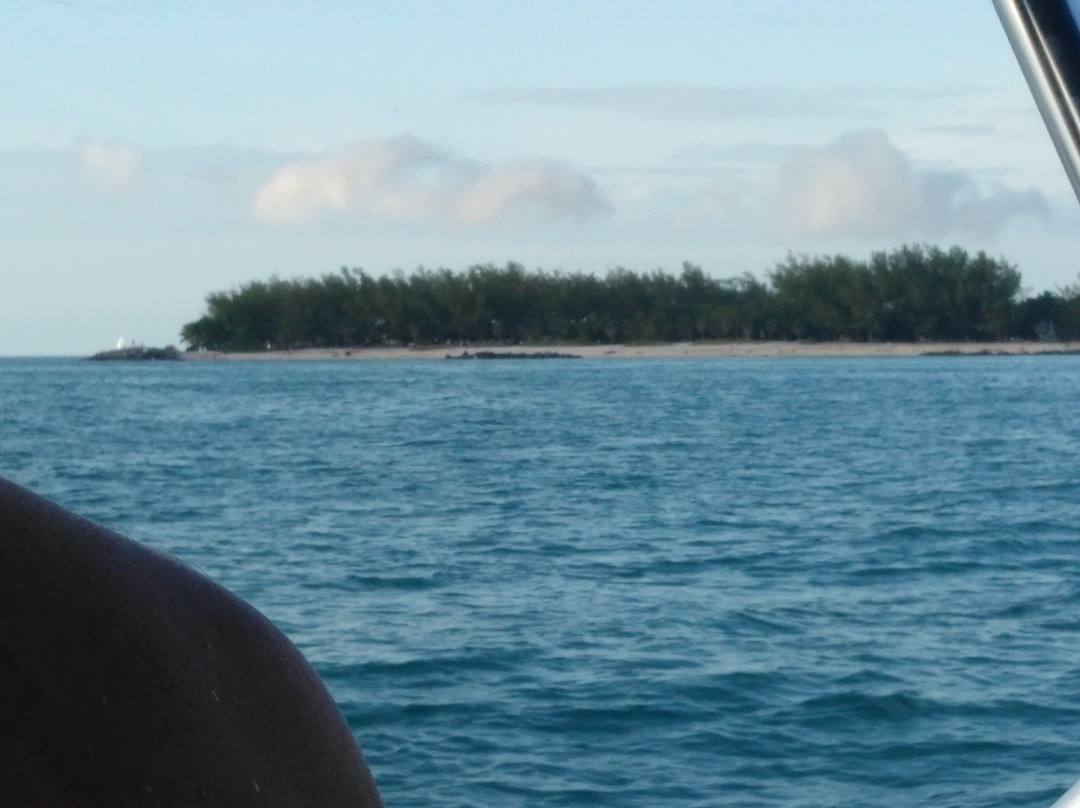 Mermaid Therapy Charters-Stock Island必去景点