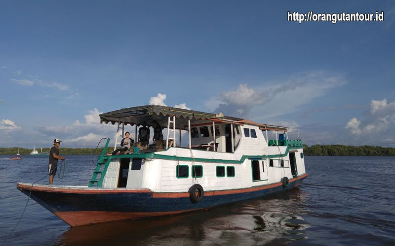 Orangutantour-Kumai必去景点