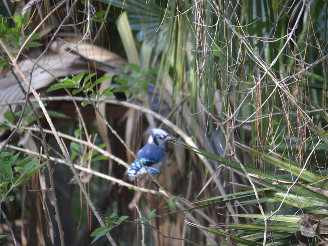 Key Vista Nature Park-Holiday必去景点