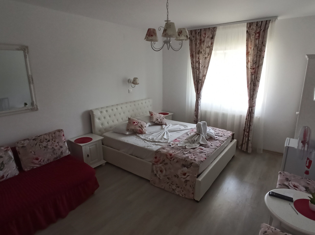 Pensiunea Casuta cu Trandafiri 2