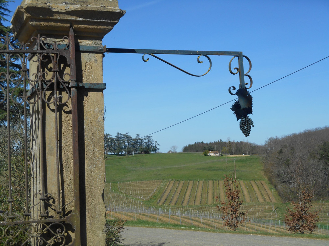 Domaine du Bilé景点图片