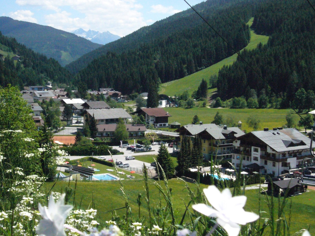 菲尔兹摩斯旅游攻略图片