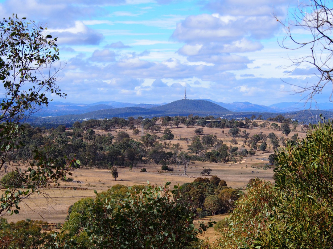 One Tree Hill Lookout Walk (Centenary Trail)景点图片