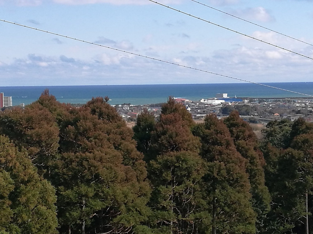 Tsubaki Park-夷隅市必去景点