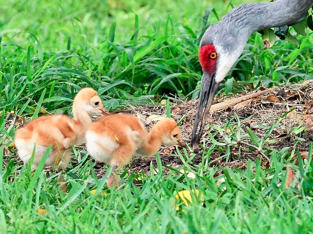 Dan Tarrell Memorial Point-圣克劳德必去景点