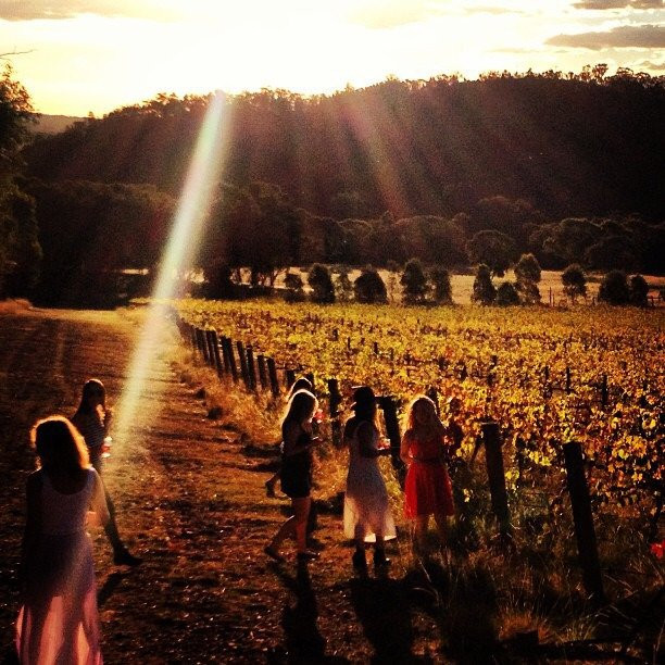 The Rosby Wines Cellar Door-马奇必去景点