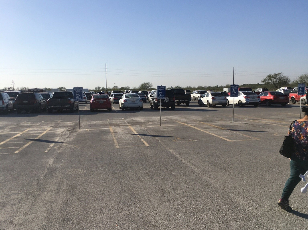 77 Flea Market-布朗斯维尔必去景点