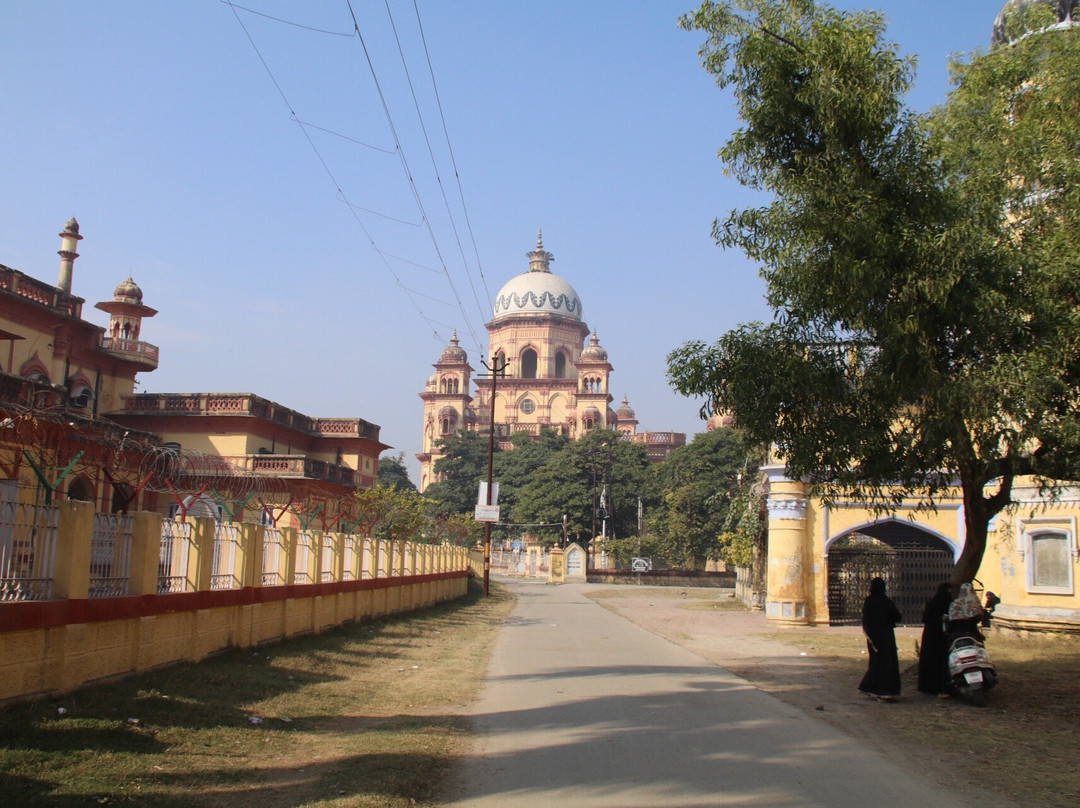 Raza Library景点图片