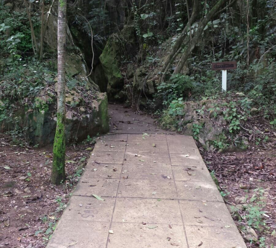 Cuevas del Pomier-San Cristobal必去景点