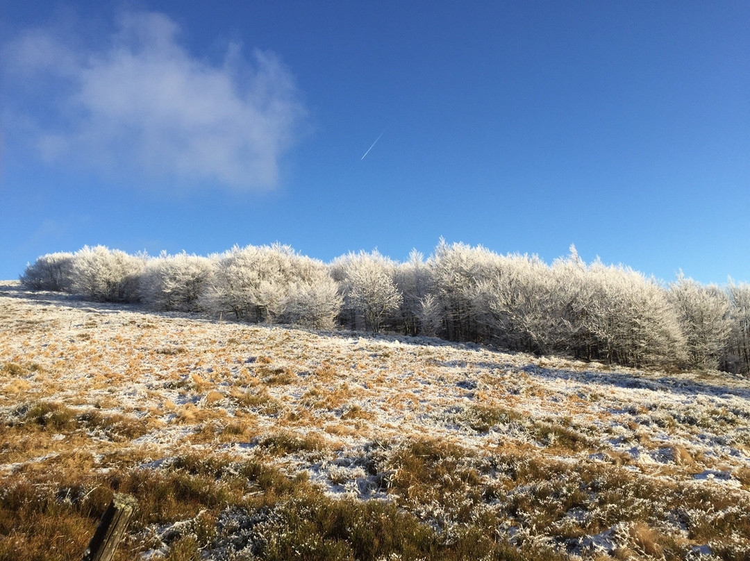 Ma Hotte Balades et Randonnées-La Bresse必去景点