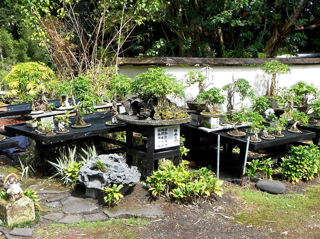 Fuku Bonsai Cultural Center-柯蒂斯城必去景点