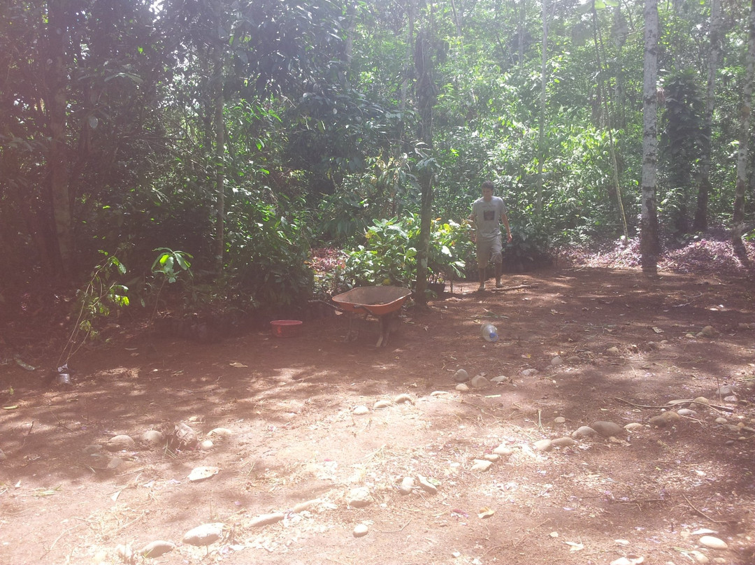 Jatun Sacha Biological Reserve-Misahualli必去景点