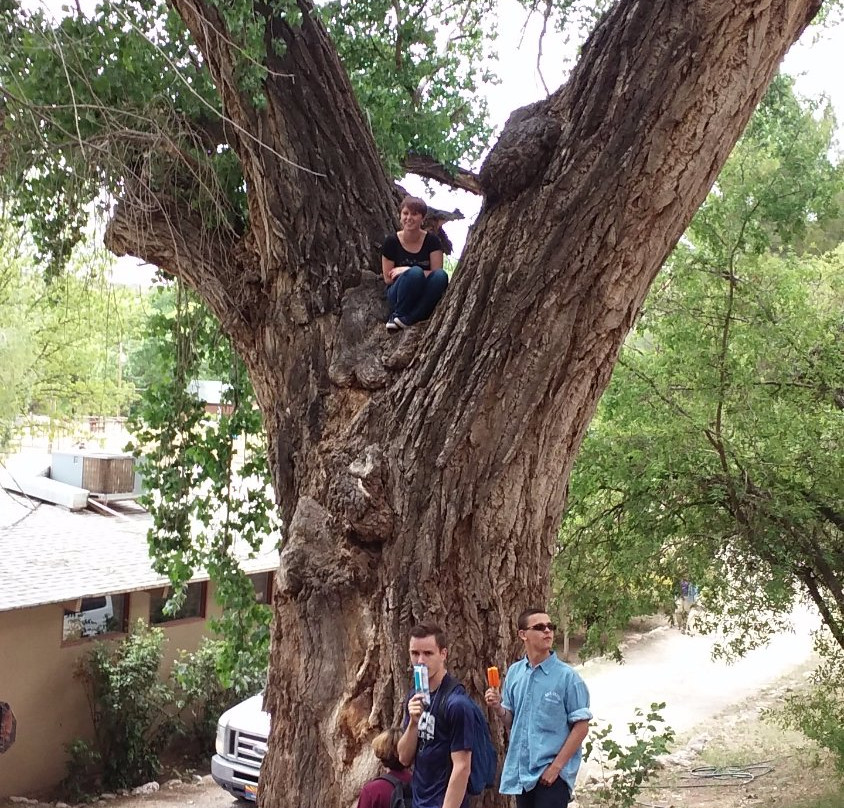 Harkins Theatre-普雷斯科特山谷必去景点