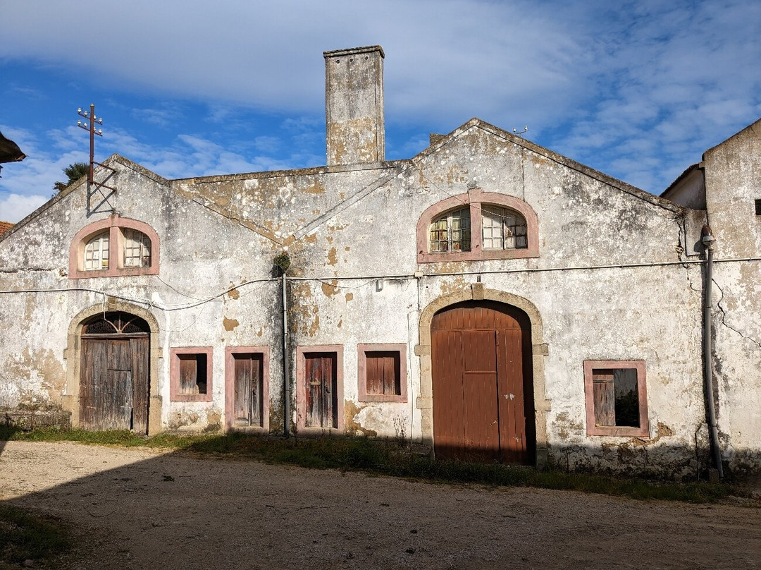 Quinta de Pancas景点图片