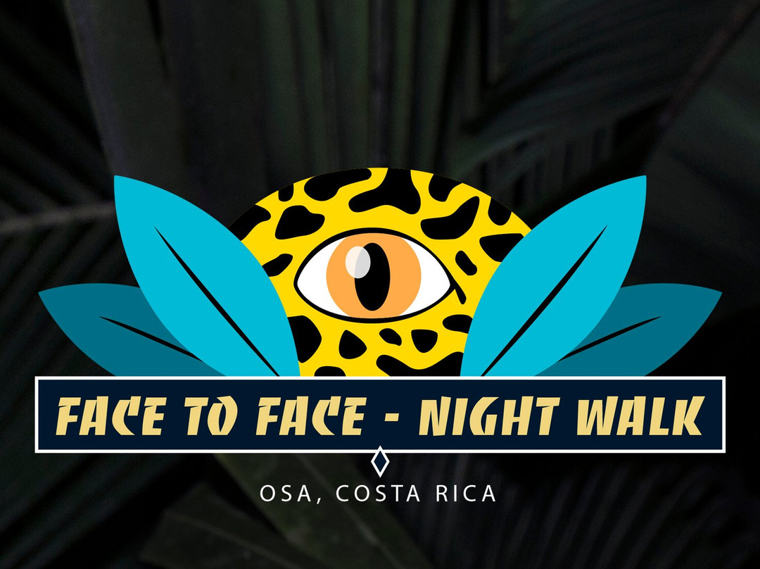Face To Face Night Walk - Puerto Jiménez景点图片